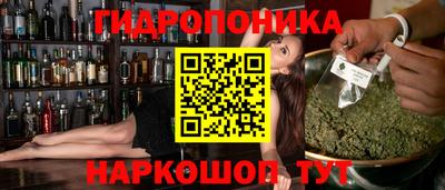 индика Будённовск