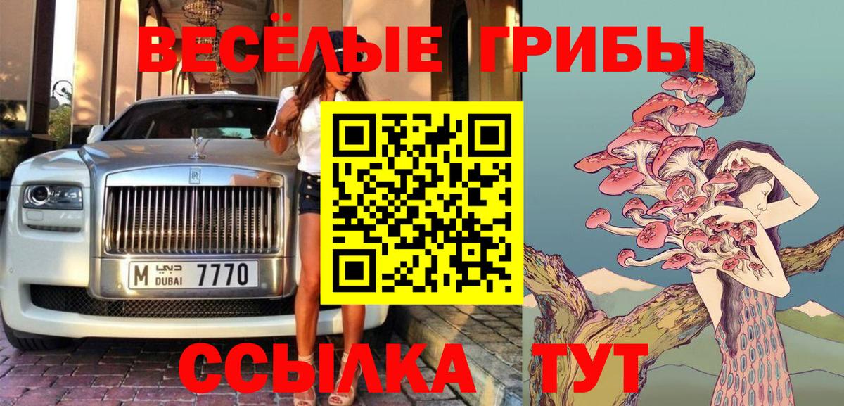 цена наркотик  Псилоцибиновые грибы мицелий  Вход с VPN  Людиново  Галлюциногенные грибы Psilocybe 